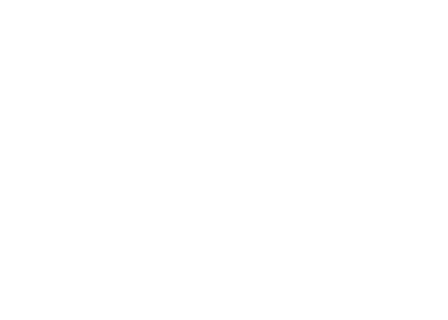 Dainese Dainese