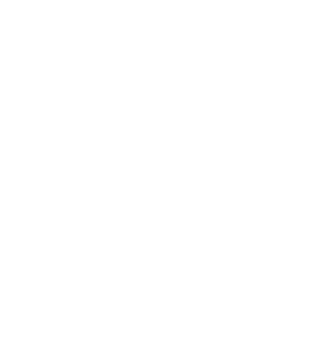 Ducati Ducati
